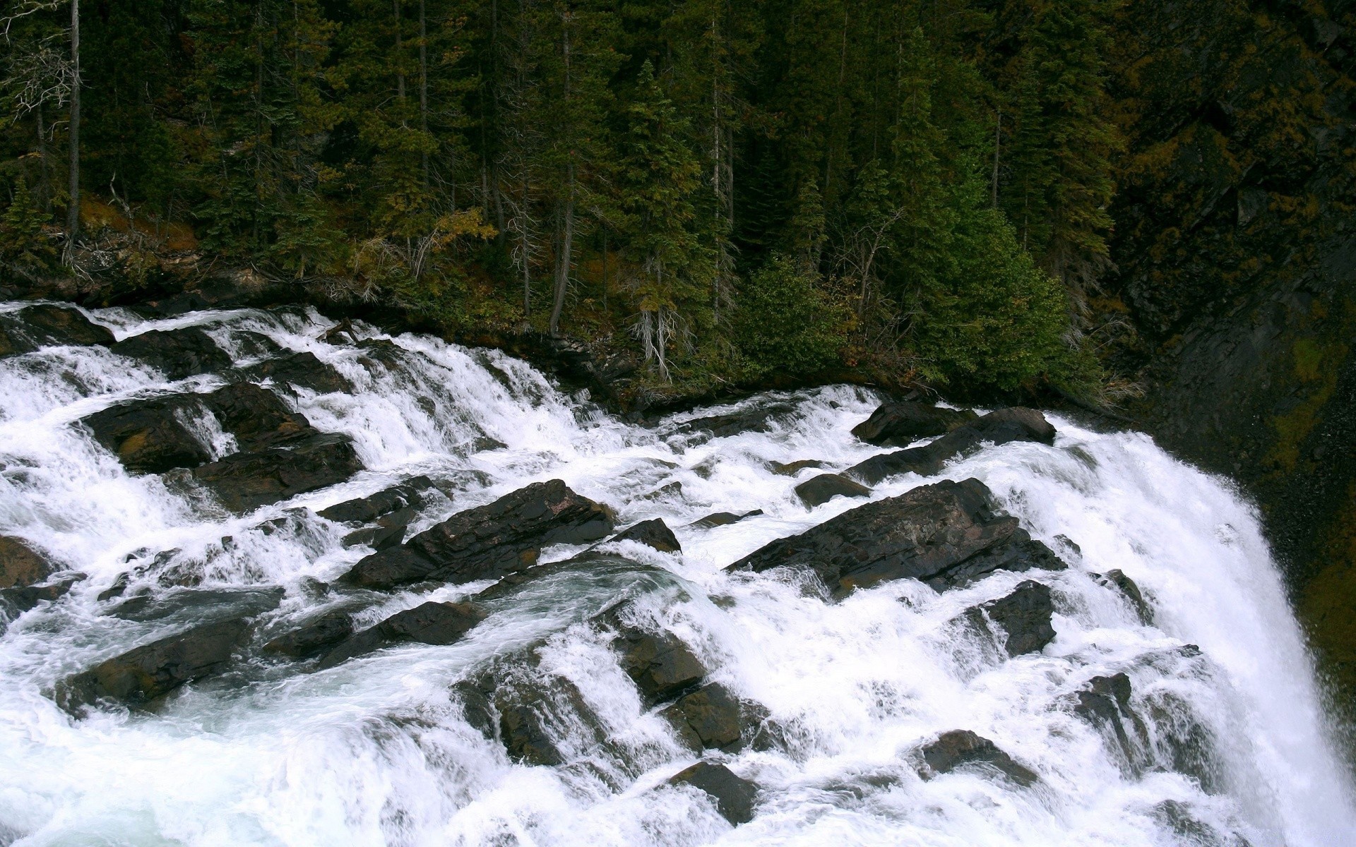 cascate paesaggio cascata acqua fiume roccia montagna all aperto flusso di legno luce del giorno di viaggio scenic traffico natura ambiente albero freddo parco