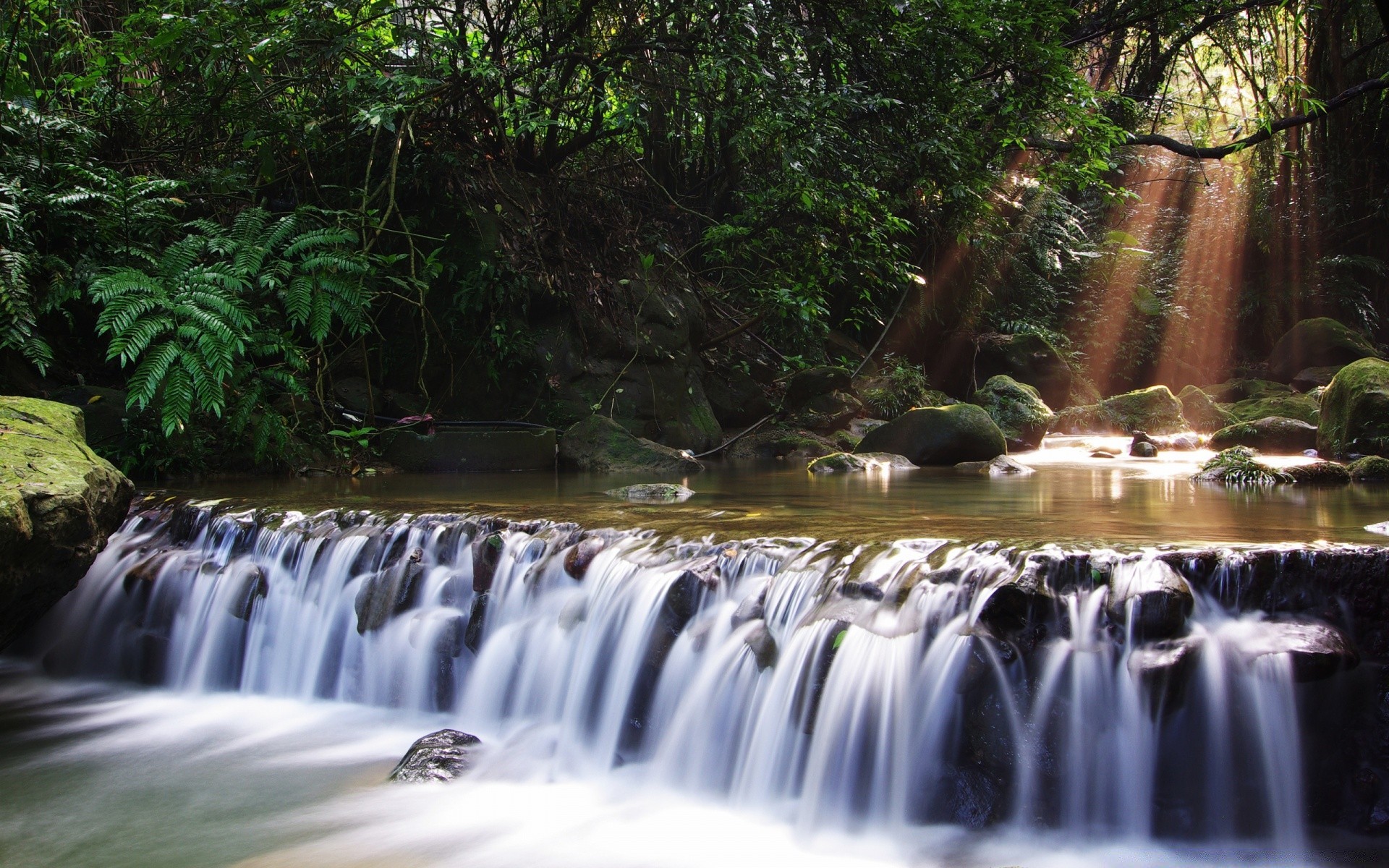 cachoeiras cachoeira água natureza movimento rio córrego cascata madeira ao ar livre outono córrego borrão folha rocha limpeza viajar molhado parque respingo