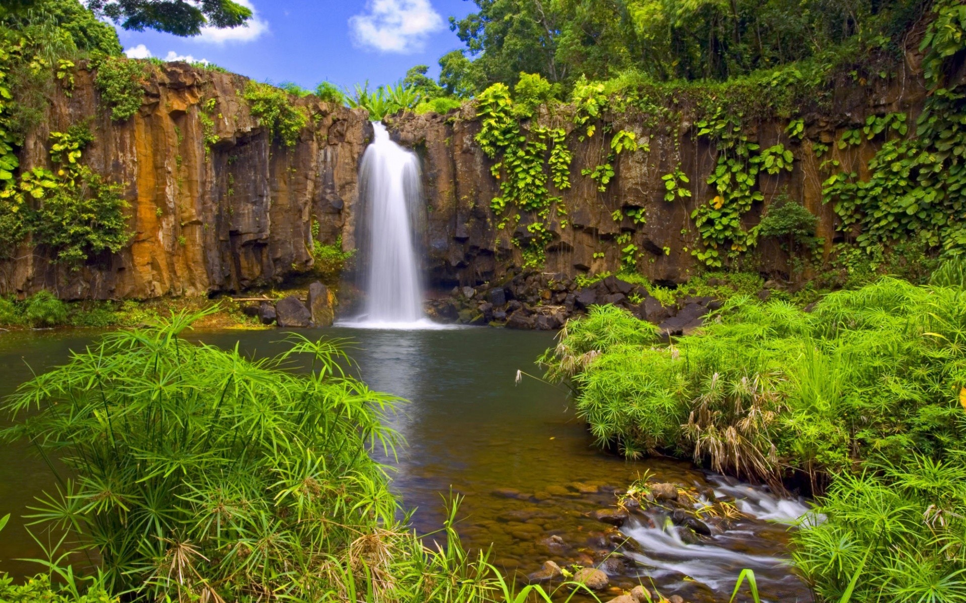 cachoeiras água cachoeira natureza rio madeira córrego paisagem folha viagem ao ar livre cascata rocha cênica grito ambiente parque verão árvore pedra