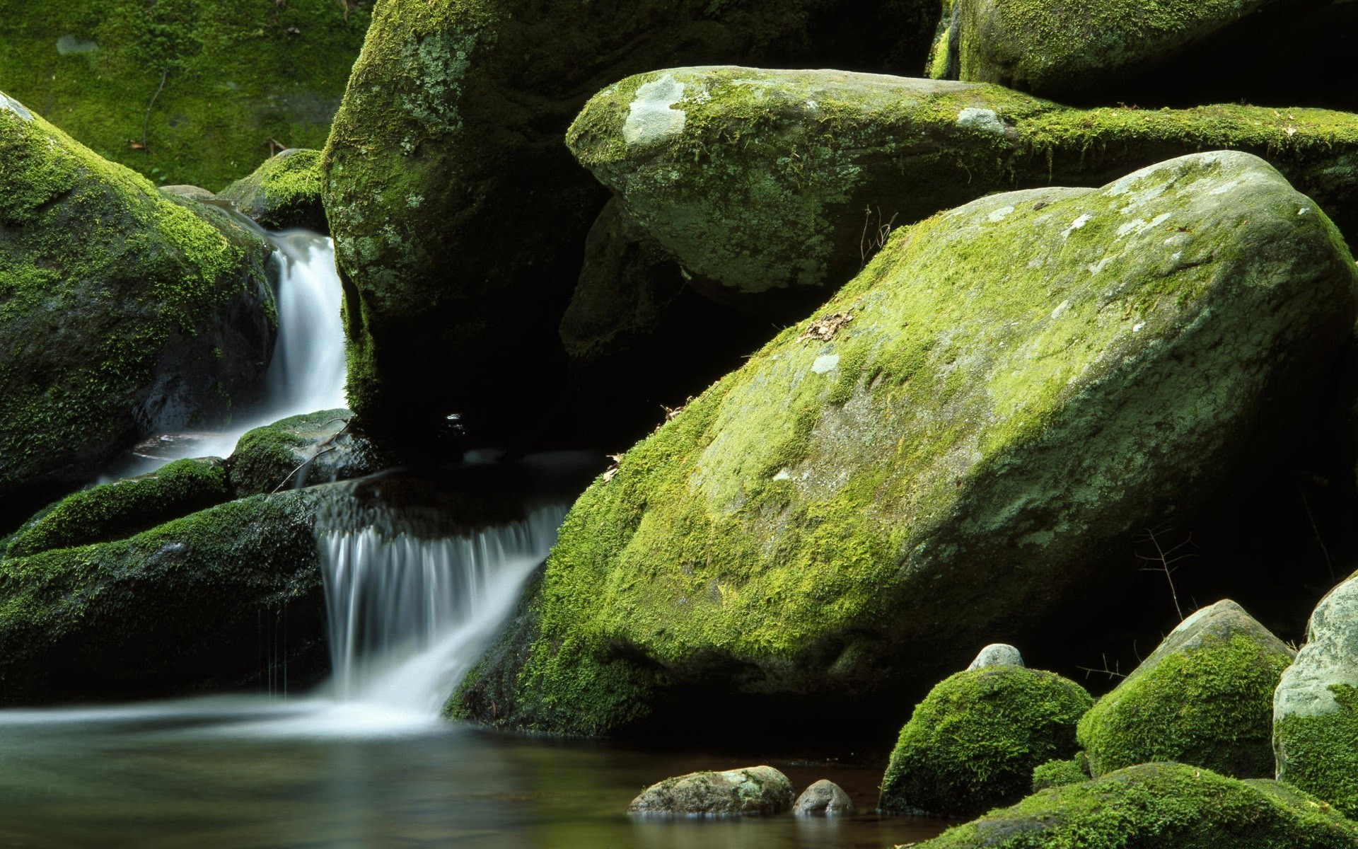 cachoeiras cachoeira água musgo rocha rio córrego natureza cascata outono córrego respingo madeira folha movimento molhado ao ar livre creek parque boulder