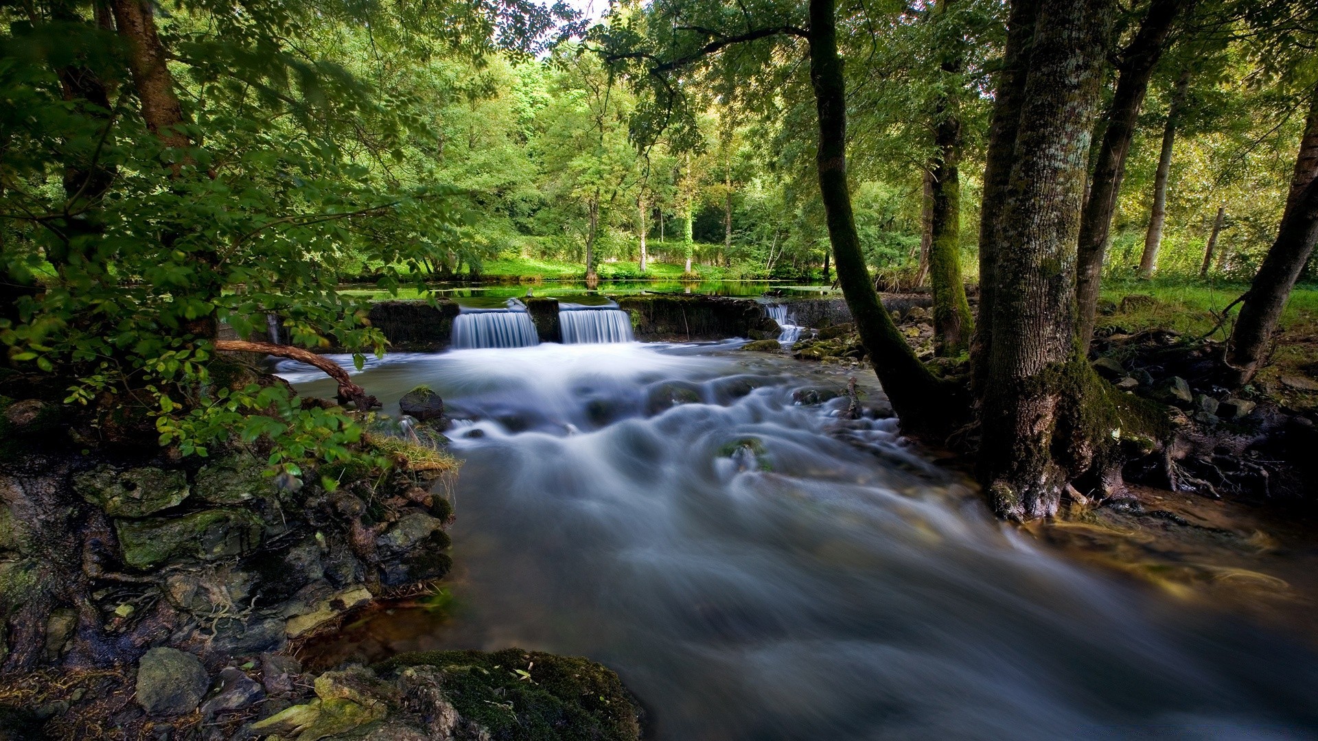 cascades eau rivière bois cascade ruisseau nature automne ruisseau paysage feuille mousse arbre à l extérieur cascade rock parc - rapids humide flux