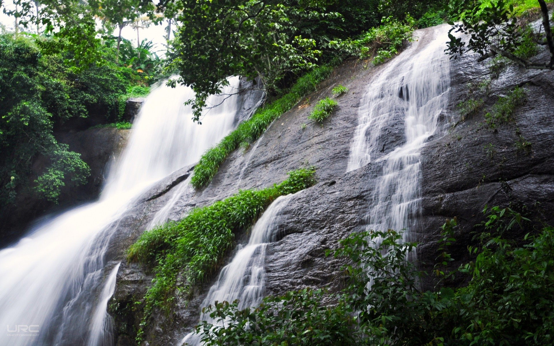 cascate cascata acqua natura legno paesaggio fiume roccia viaggio flusso all aperto montagna foglia estate albero scenico selvaggio traffico cascata bagnato