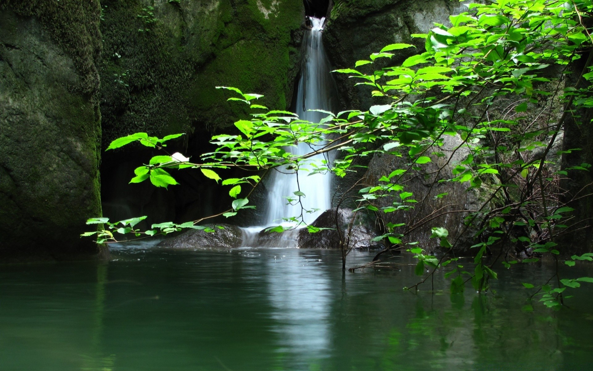 waterfalls water nature wood river leaf stream waterfall tree outdoors environment park landscape wet tropical travel summer rain flow lush