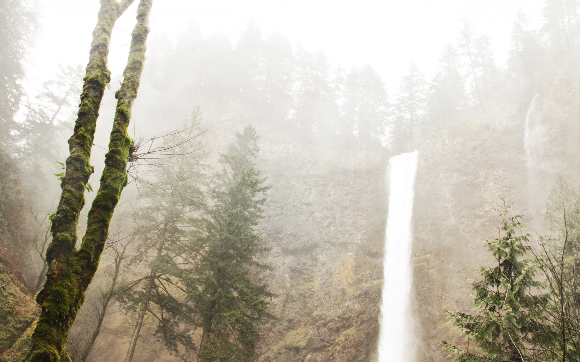 cascades arbre paysage nature bois en plein air voyage brouillard brouillard montagnes