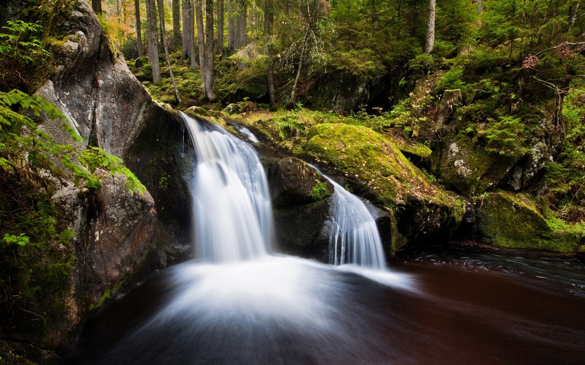 cascadas cascada agua corriente río madera musgo creek naturaleza roca otoño corriente cascada movimiento paisaje hoja al aire libre árbol montañas viajes