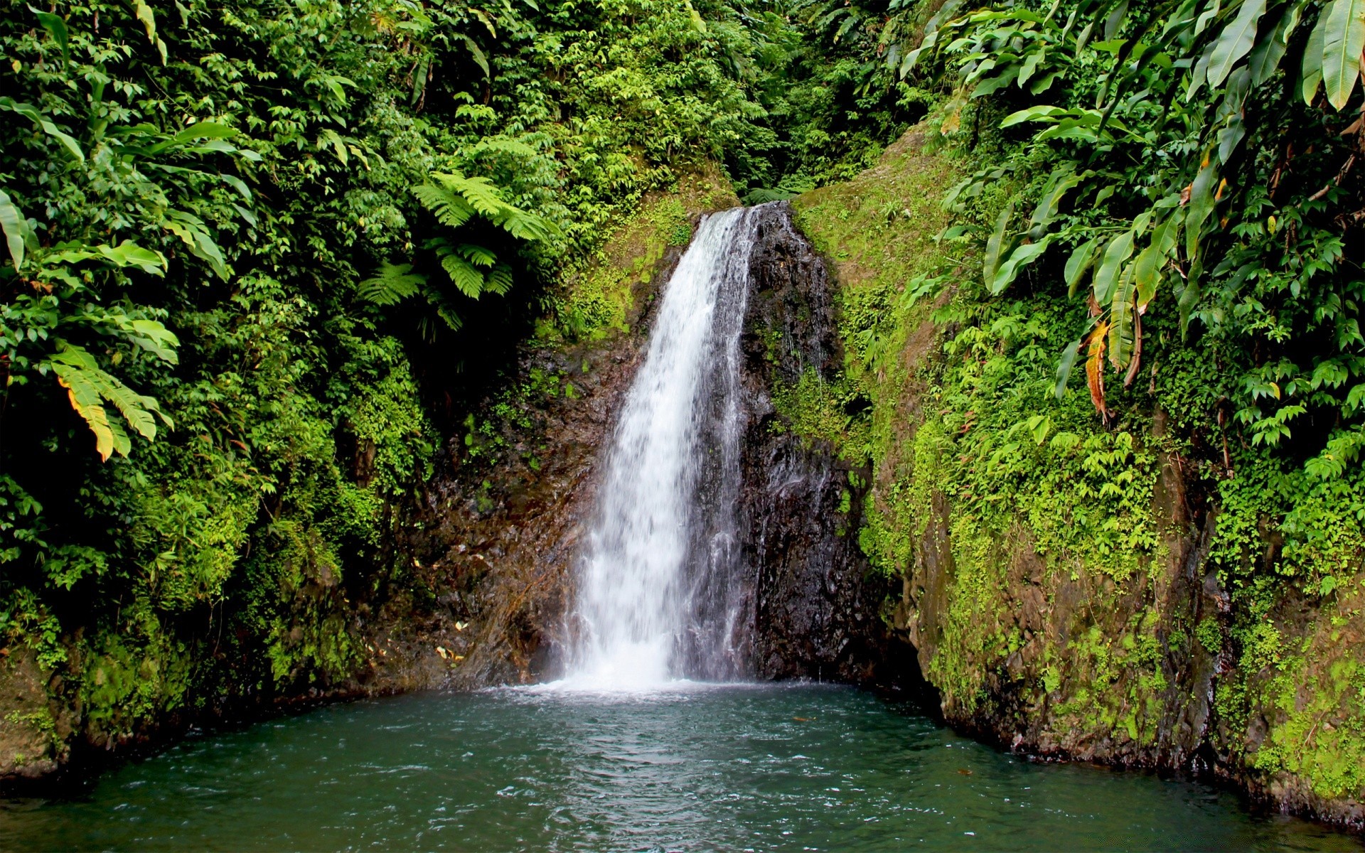 cascades eau cascade rivière nature flux bois à l extérieur rock voyage été feuille paysage humide bois sauvage cascade forêt tropicale scénique