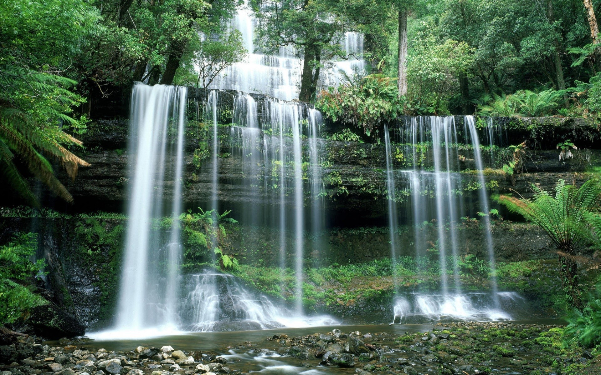 瀑布 水 自然 瀑布 湿 叶 木 河 热带 流 夏天 环境 户外 级联 清洁 郁郁葱葱 秋天 植物群 野生 公园