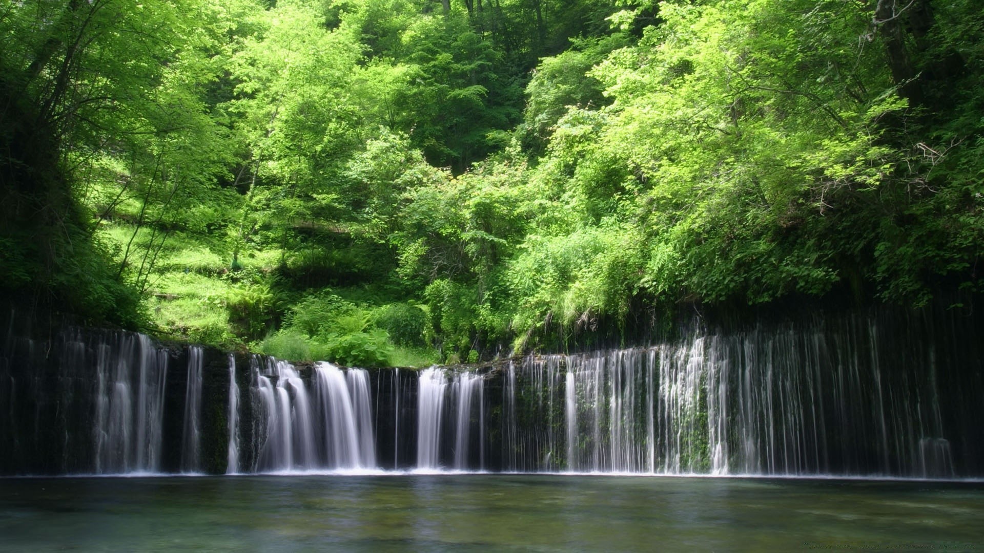 cascate acqua cascata legno natura fiume flusso foglia albero paesaggio cascata parco flusso ambiente all aperto lussureggiante estate bagnato viaggi selvaggio