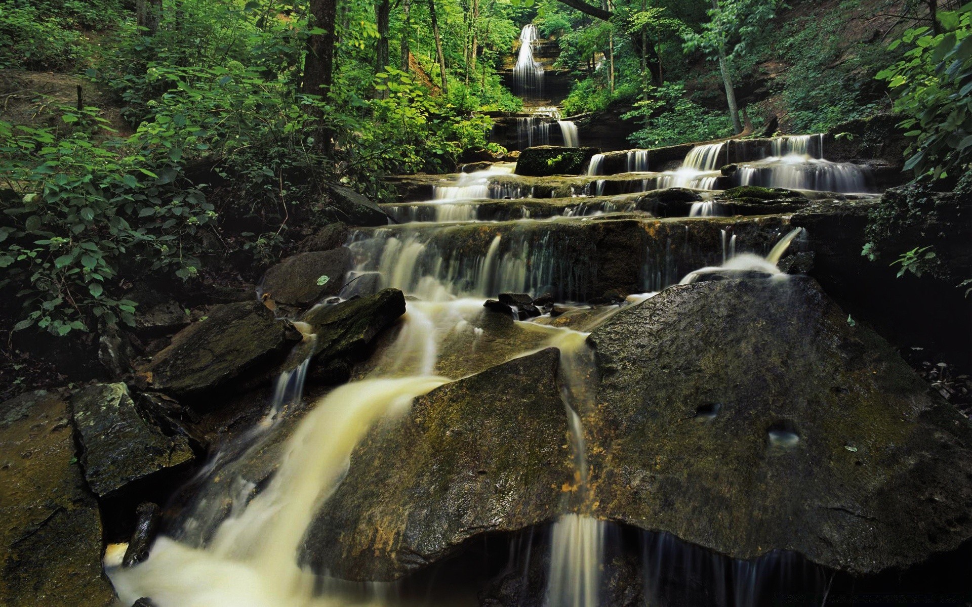 waterfalls water waterfall stream river wood cascade flow nature motion creek leaf travel rock outdoors fall landscape tree splash wet