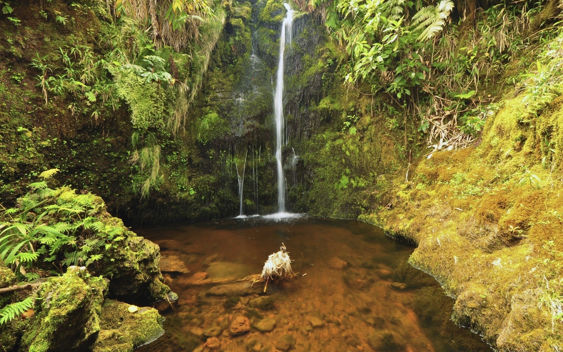 waterfalls water wood waterfall nature river stream rock tree landscape leaf rainforest travel outdoors environment mountain moss lush park stone