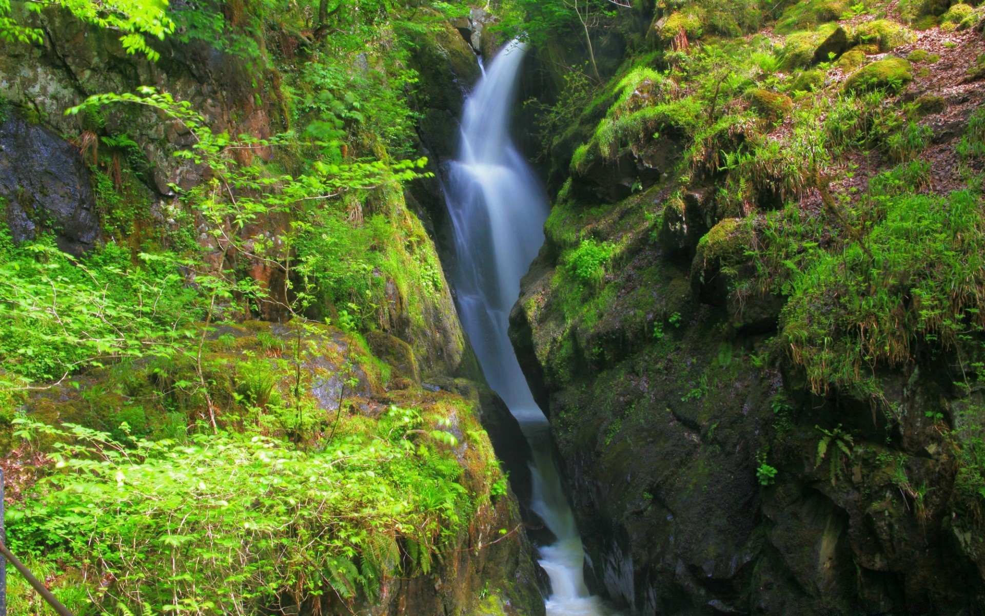 cascate acqua legno natura cascata foglia flusso muschio fiume all aperto paesaggio roccia lussureggiante autunno foresta pluviale albero selvaggio cascata ambiente giungla