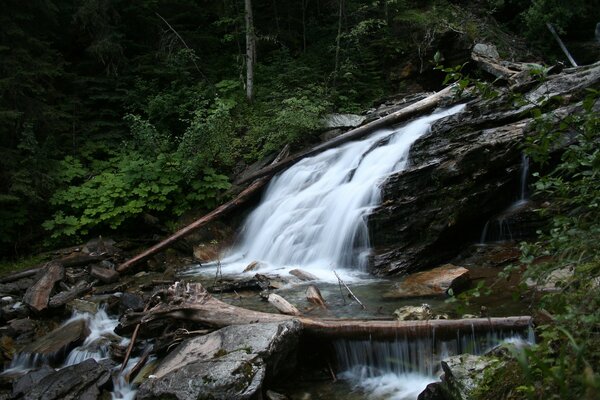 Ein schöner Wasserfall fließt durch den Wald