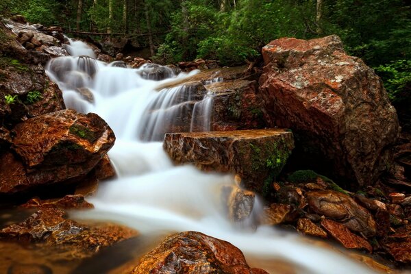 Поток воды в водопаде в лесу