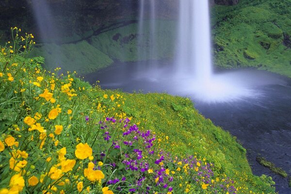 Очень красивый водопад на фоне цветов