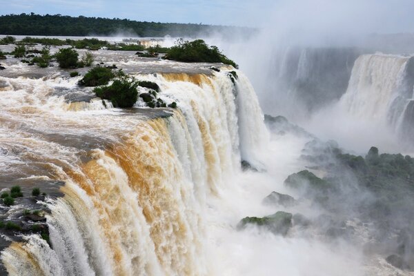 Paisaje de cascada alta en el fondo de un bosque salvaje