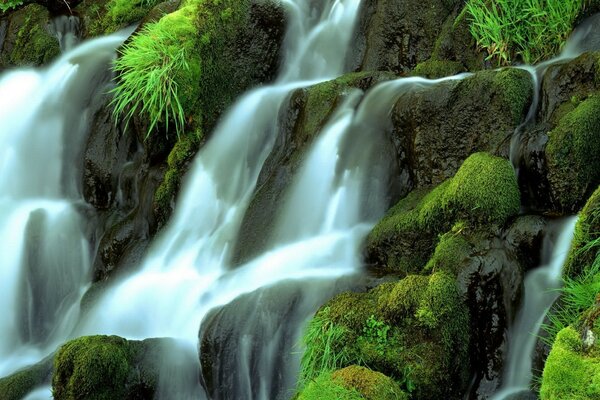 Cascada de montaña sumergida en el verde