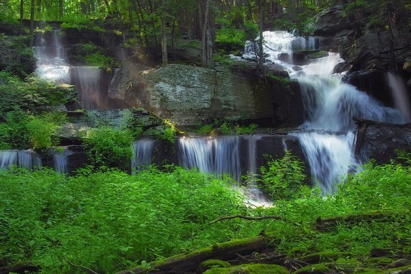 Waterfall on the background of forest and river