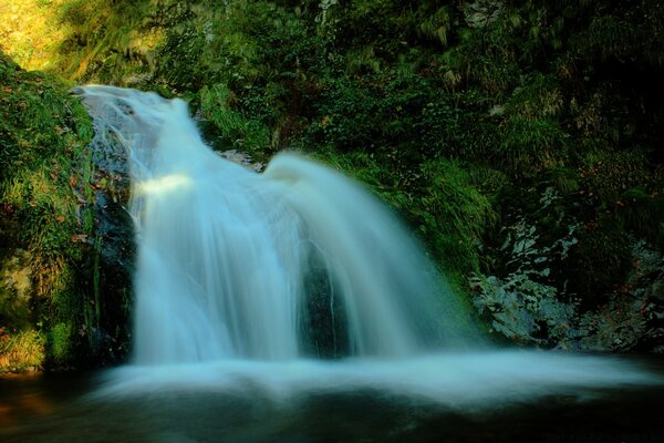 Schöner Wasserfall am Nachmittag im Wald