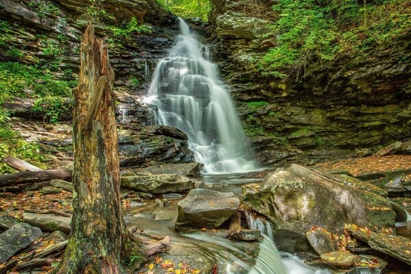 Belle cascade à plusieurs étages dans la forêt