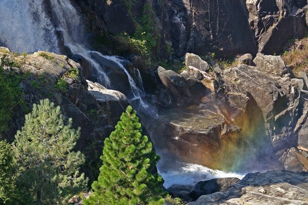 A rock near a waterfall with trees