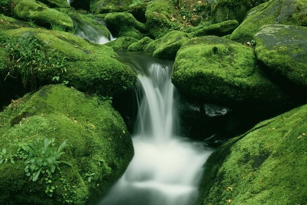 Cascata su rocce ricoperte di muschio