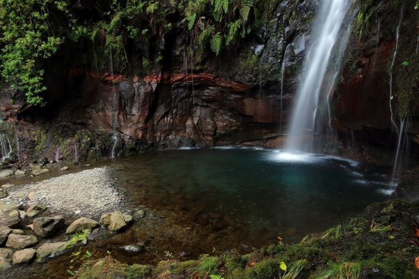 A small picturesque waterfall among the greenery