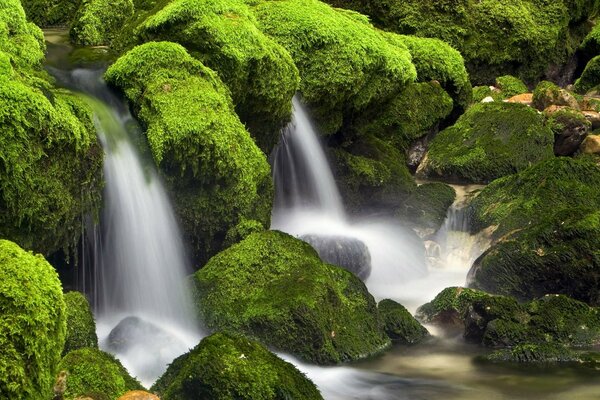 Waterfall with stones overgrown with moss