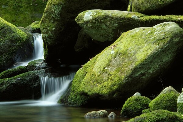 Wasserfall auf moosbedeckten Steinen