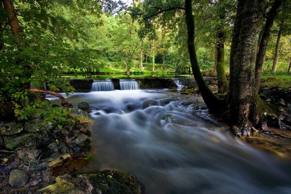 Wasserfall im Hintergrund von Wald und Fluss