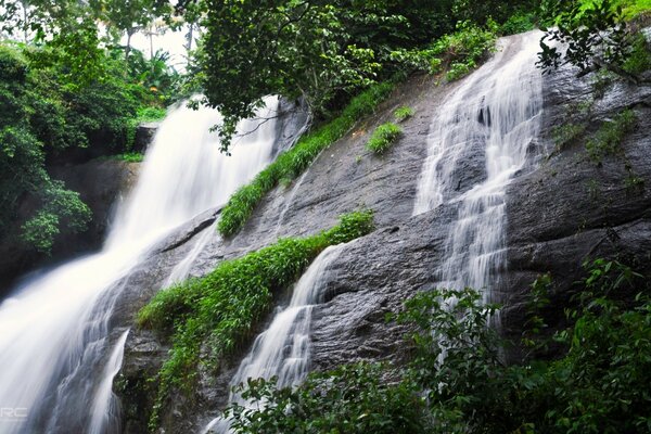 झरना और चट्टान के साथ प्रकृति परिदृश्य