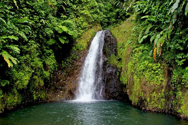 Faszinierender Wasserfall, der in den Fluss fließt