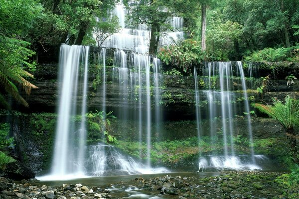 Tropischer Wasserfall mit Moos