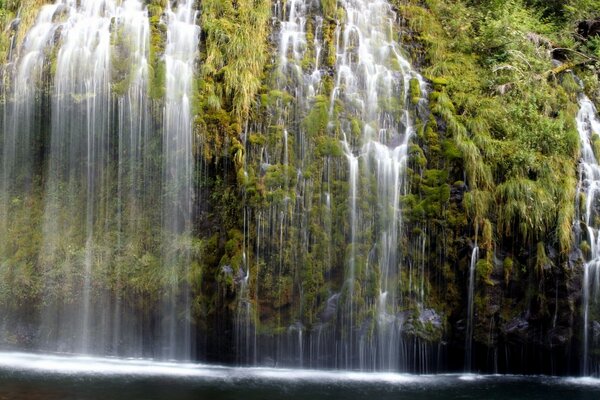 Jatos finos de uma cachoeira banham as árvores na encosta da montanha