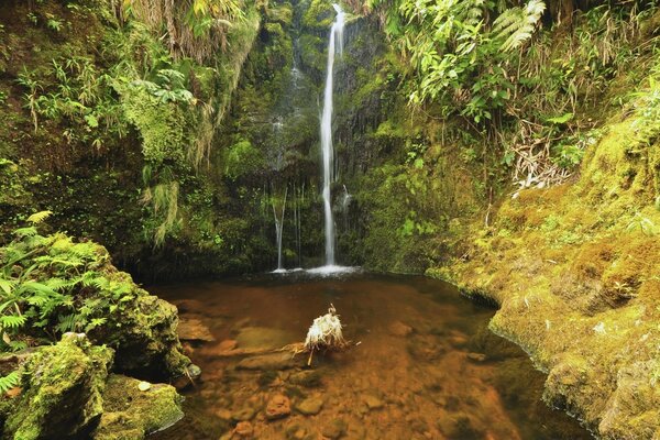 Cascada que fluye desde altos acantilados