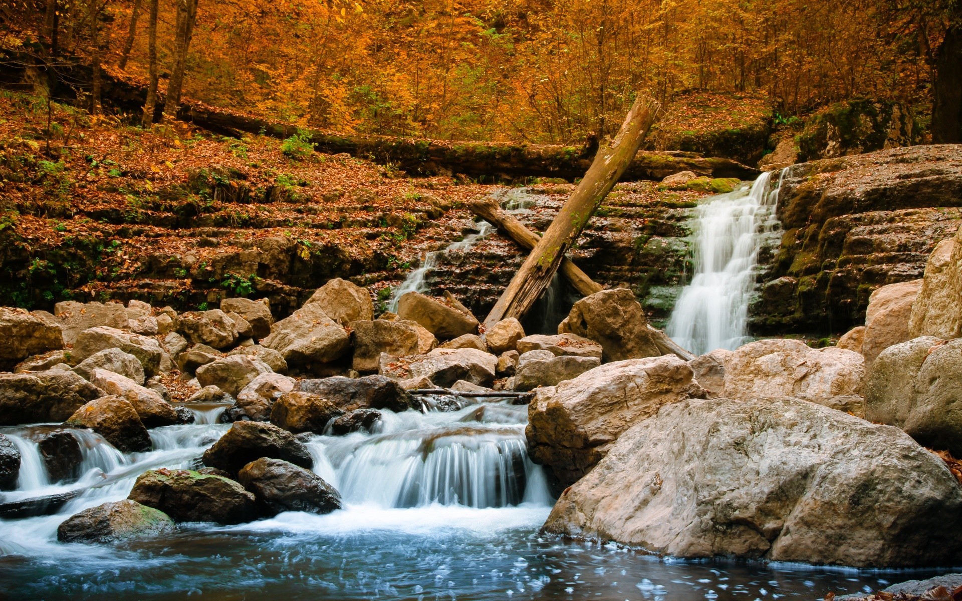 autumn water waterfall stream river nature fall rock outdoors creek wood landscape travel cascade rapids flow motion wild leaf park