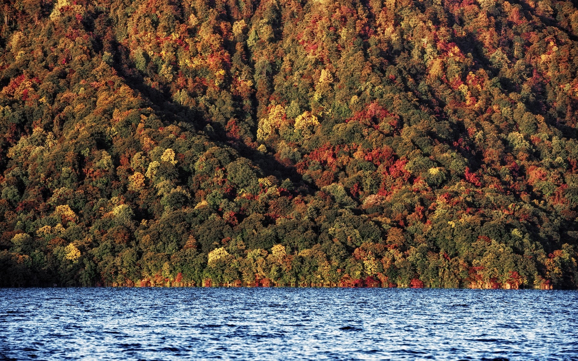 automne automne arbre eau nature paysage en plein air bois saison voyage feuille lac lumière du jour rivière scénique montagnes