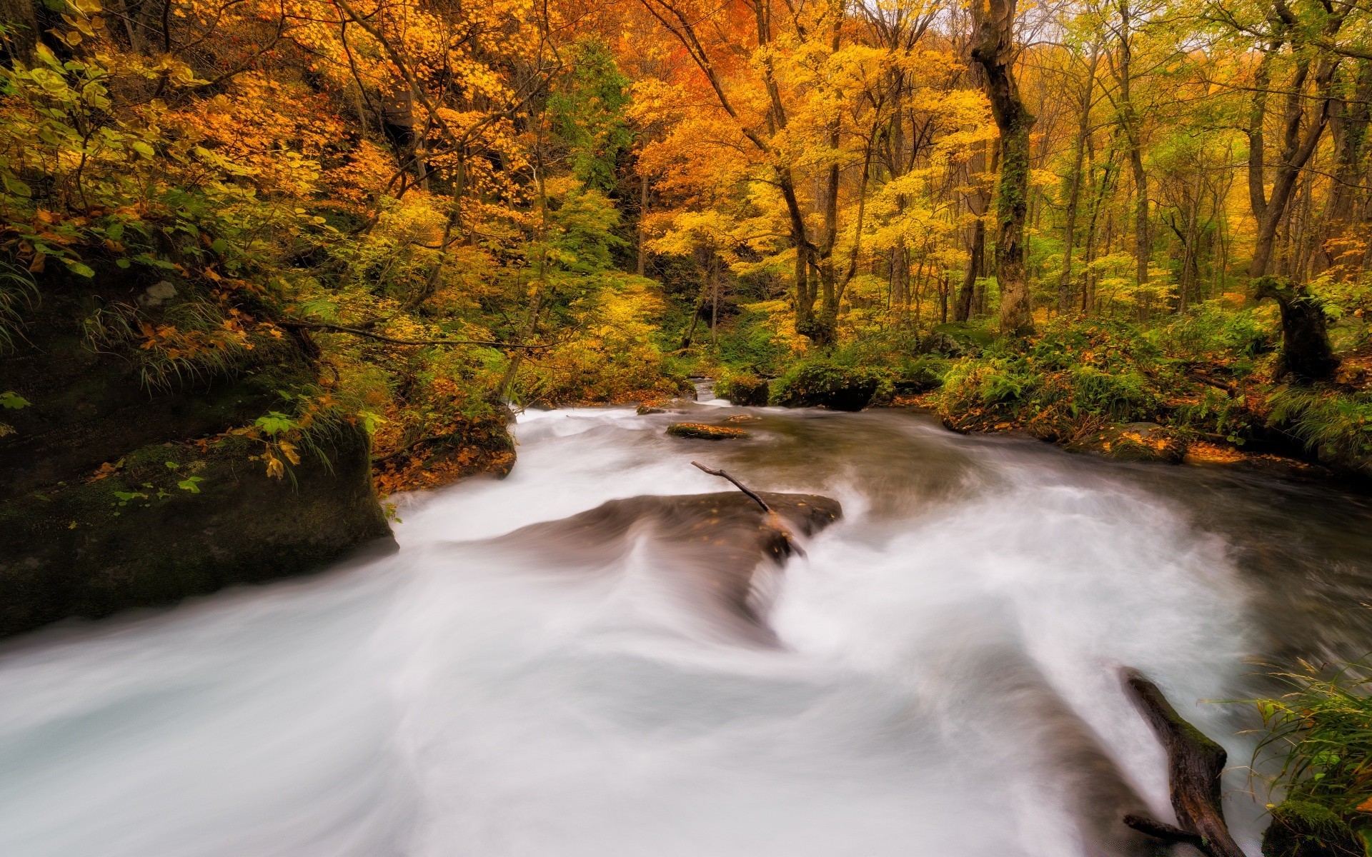 automne automne paysage eau bois rivière à l extérieur arbre nature cascade - rapids lumière du jour feuille scénique voyage mouvement flou