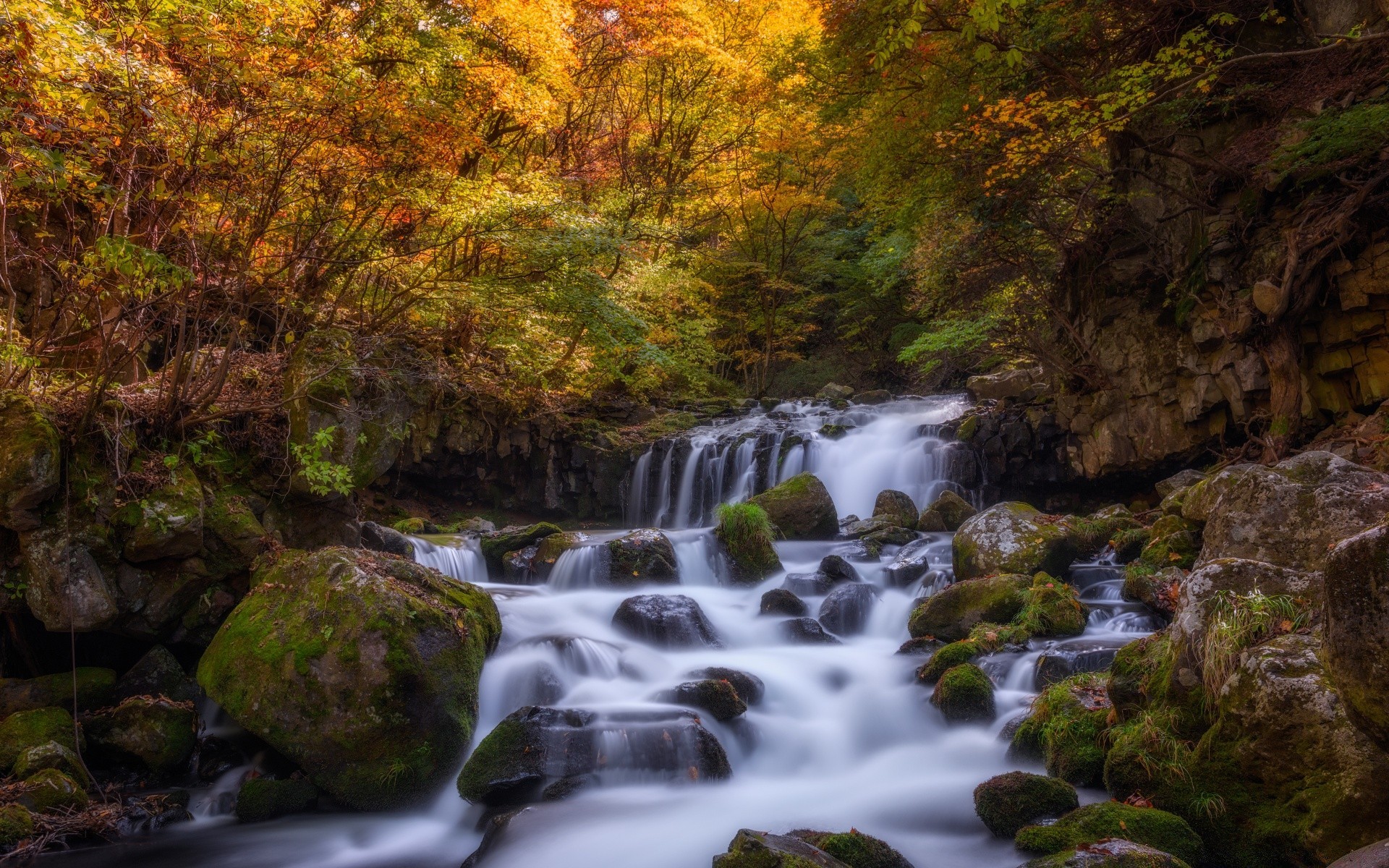 herbst wasser wasserfall herbst fluss fluss natur blatt holz rock kaskade landschaft fluss schrei rapids moos im freien bewegung reisen baum