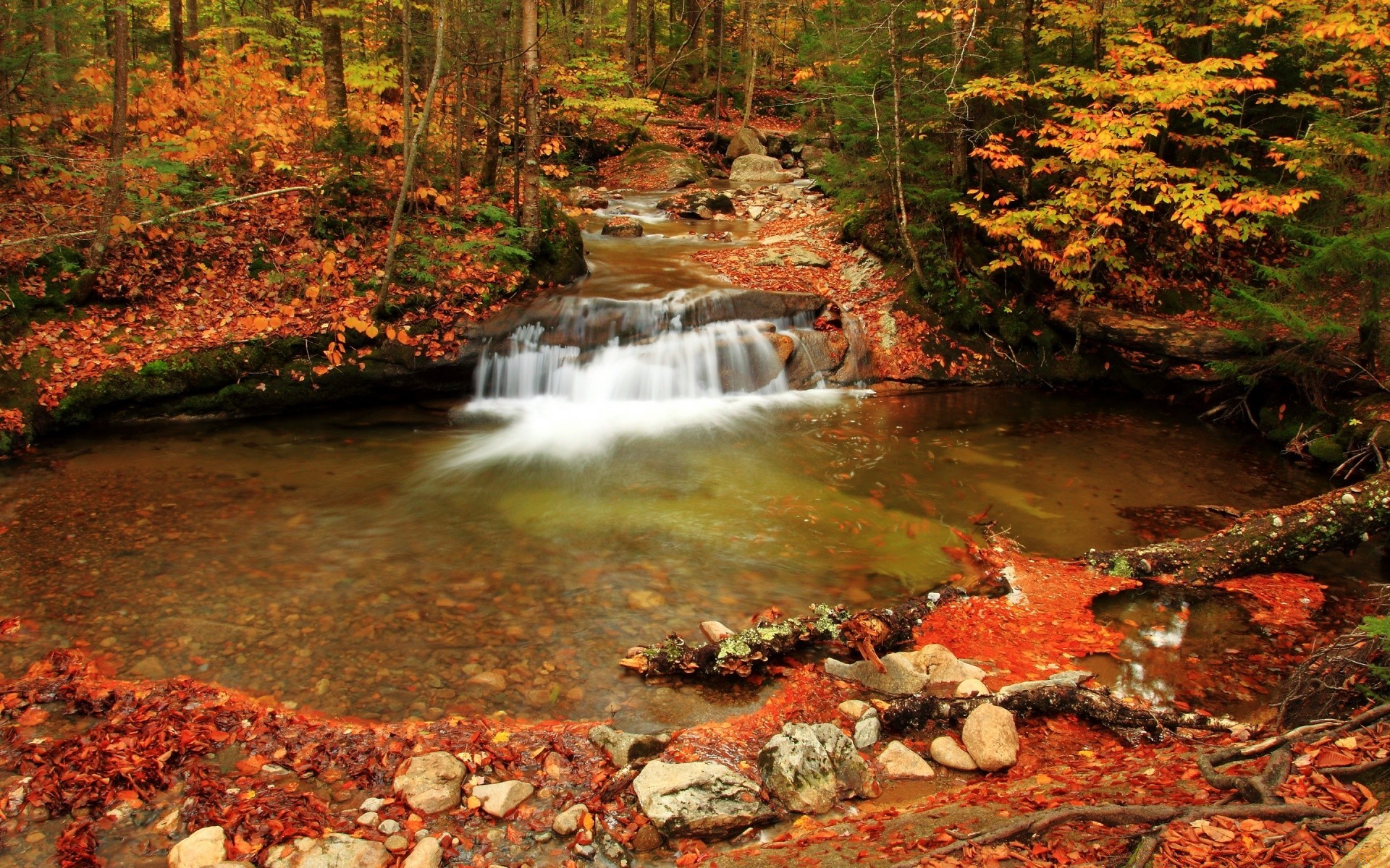 otoño otoño hoja madera agua corriente arce naturaleza árbol río al aire libre creek paisaje parque cascada - rapids temporada medio ambiente viajes corriente