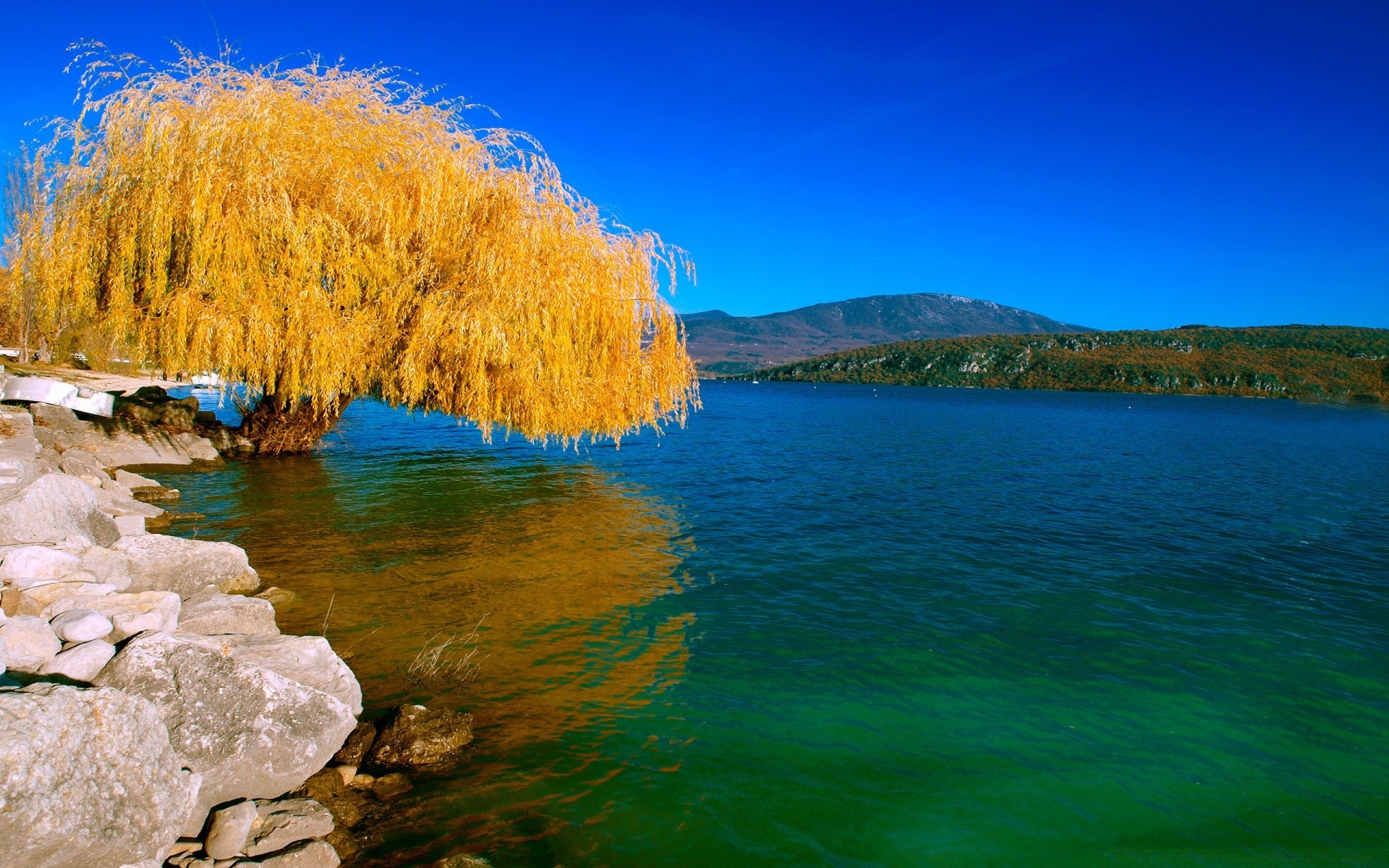 秋天 水 自然 景观 天空 旅游 风景 湖 户外 木材 树 好天气 夏天 反射