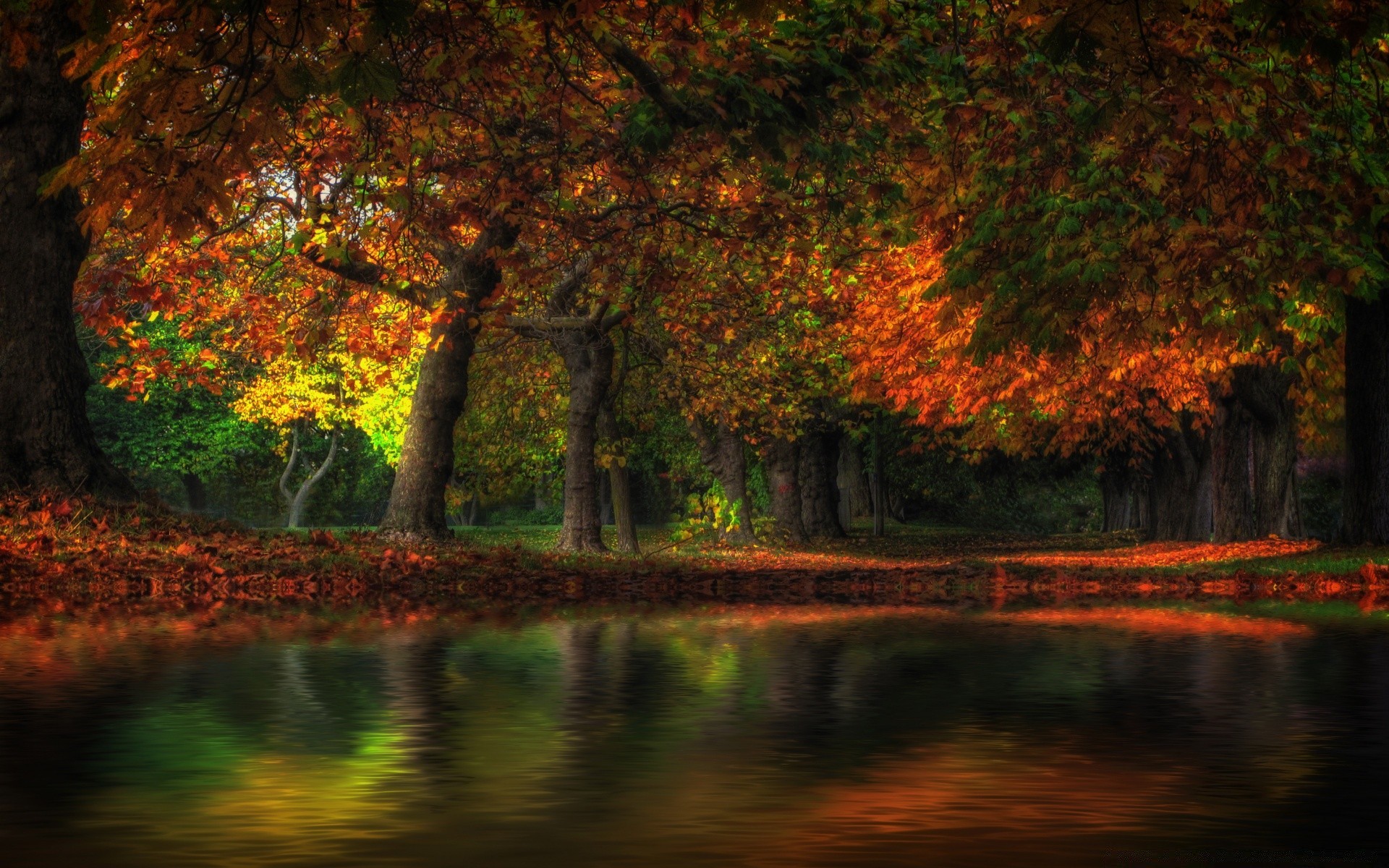 otoño otoño hoja árbol madera parque paisaje naturaleza amanecer arce al aire libre agua exuberante escénico rama