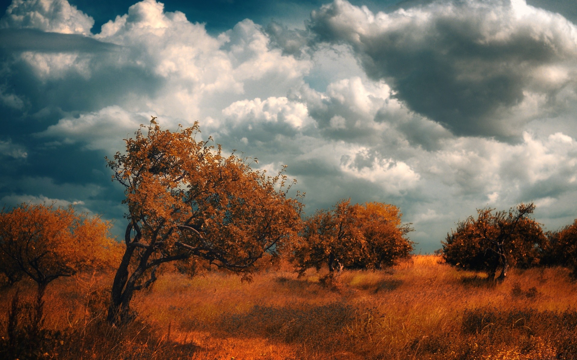 autunno paesaggio albero alba autunno tramonto natura cielo sole all aperto bel tempo campagna legno sera tempo foglia