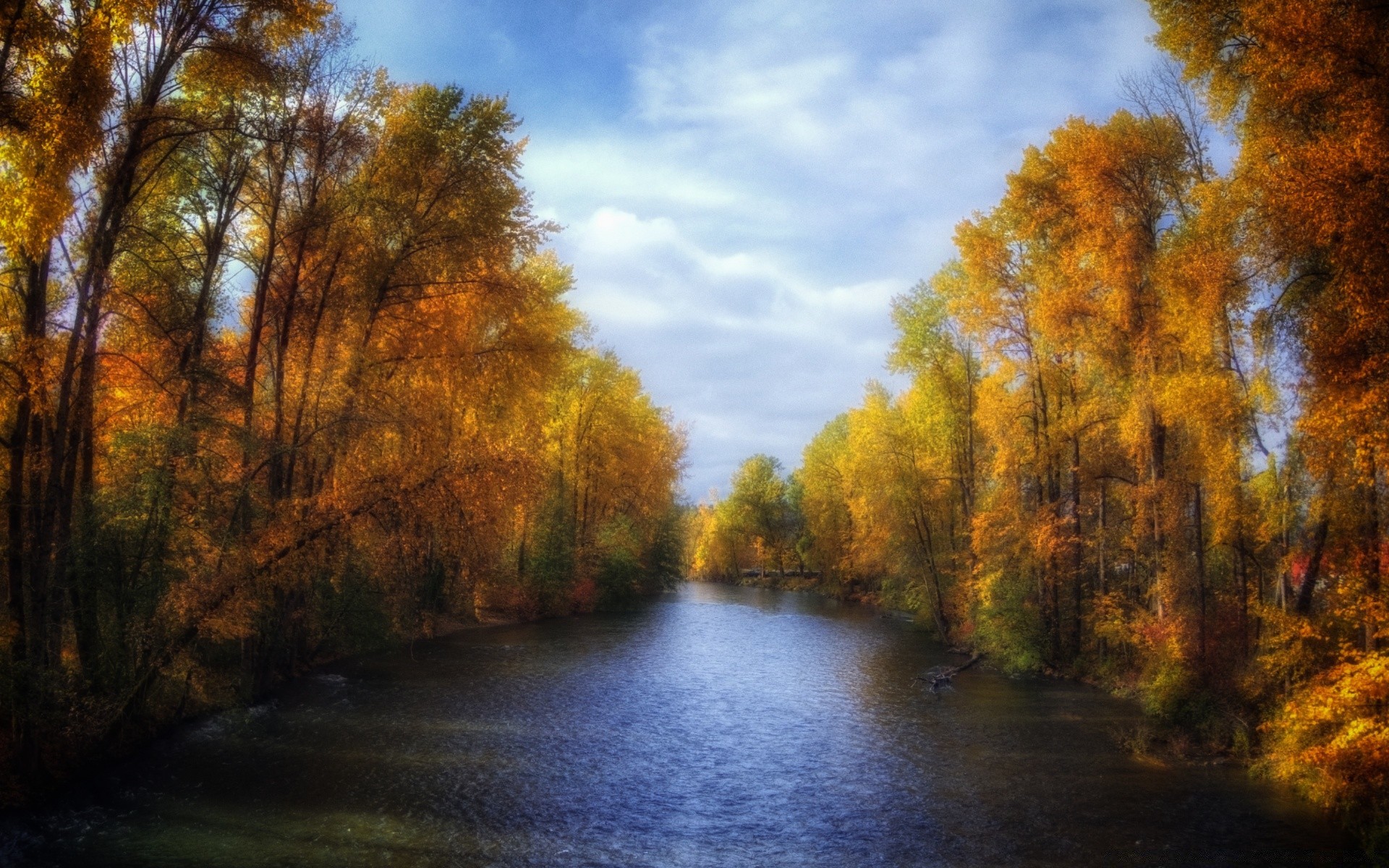 осінь осінь дерево природа деревини пейзаж води лист на відкритому повітрі світанок річка озеро відображення мальовничий парк гарну погоду небо холоднокровність захід