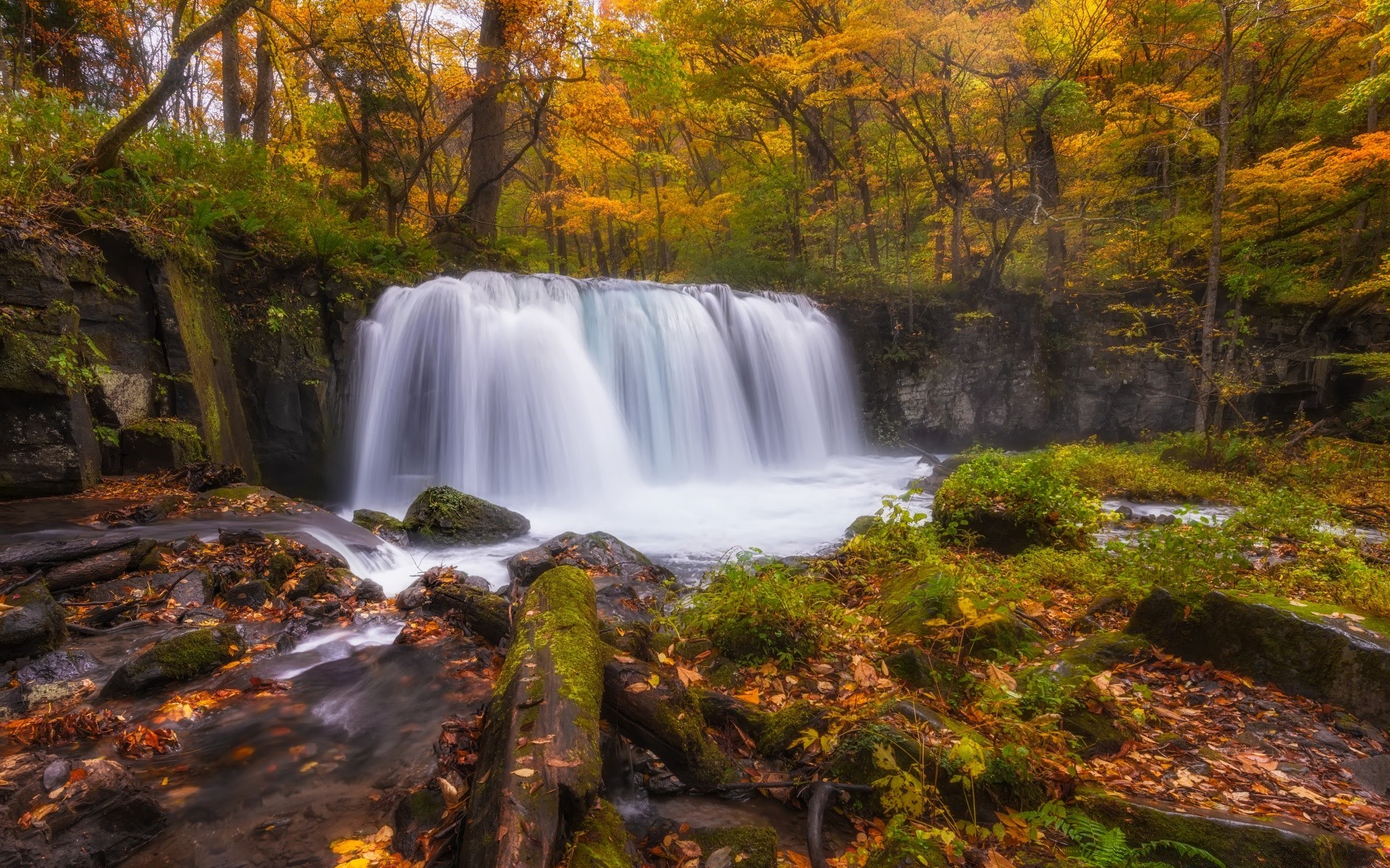 automne automne cascade eau rivière paysage ruisseau feuille bois cascade nature à l extérieur - rapids bois mousse scénique ruisseau parc luxuriante rock