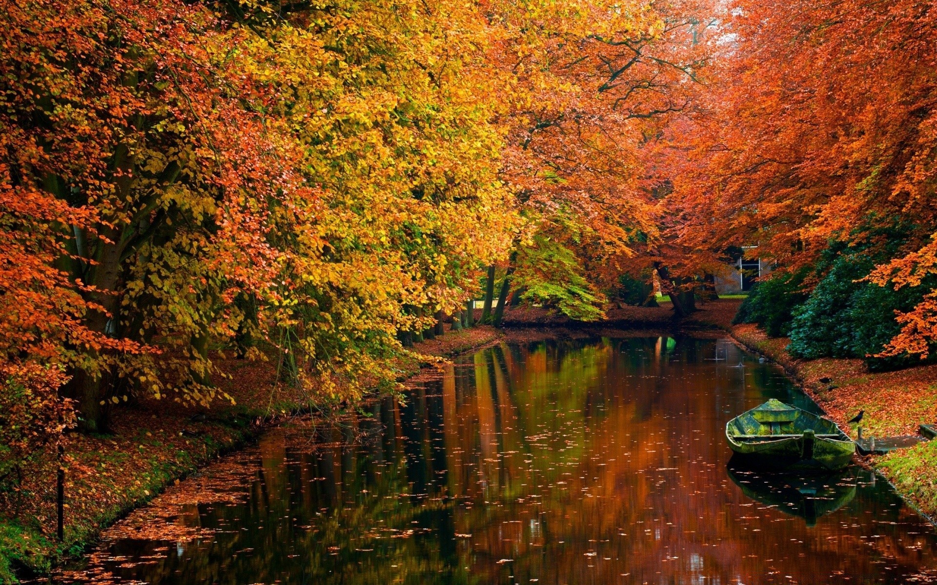 autumn fall leaf wood tree water outdoors landscape nature river maple scenic lake park travel