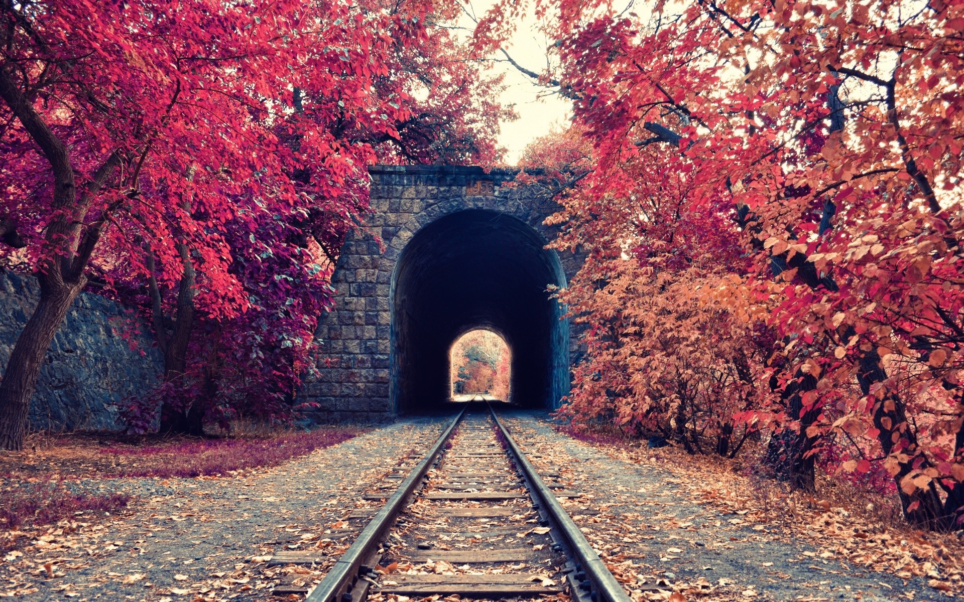 herbst eisenbahn herbst guide zug baum blatt reisen tunnel track natur straße perspektive im freien licht landschaft holz park