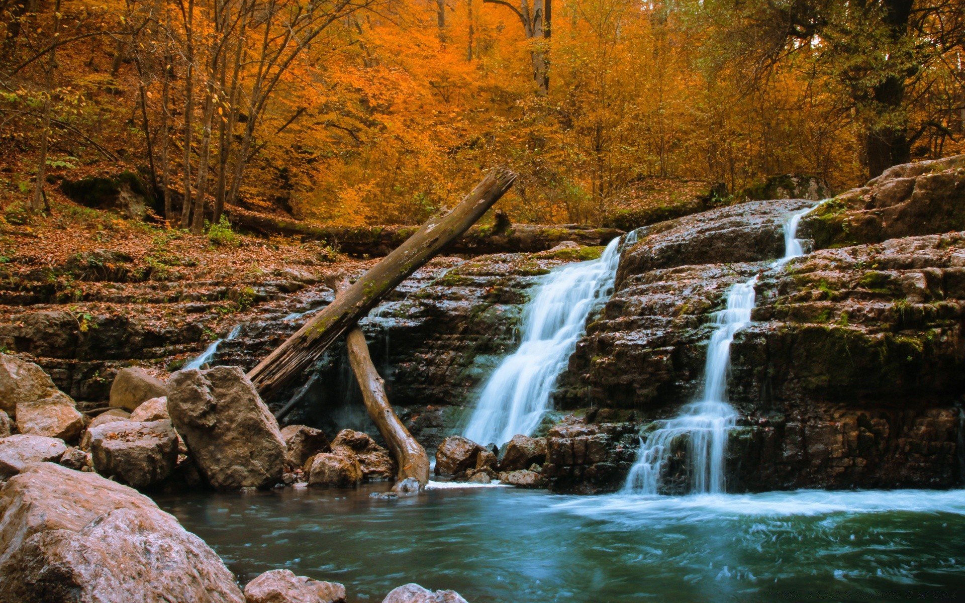 sonbahar su nehir akış sonbahar manzara doğa ahşap şelale açık havada ağaç kaya doğal seyahat yaprak dere park rapids çevre akış