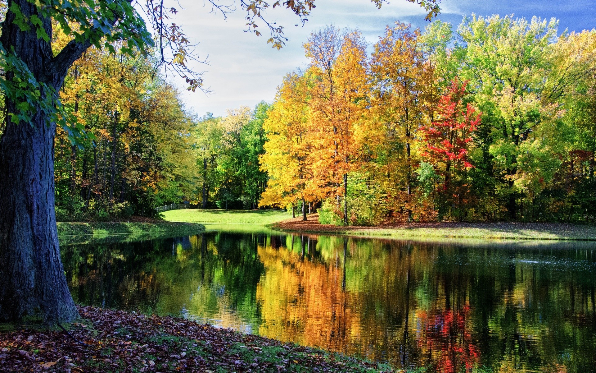 outono árvore outono madeira natureza folha paisagem parque água lago cênica temporada rio cenário ao ar livre ambiente piscina maple