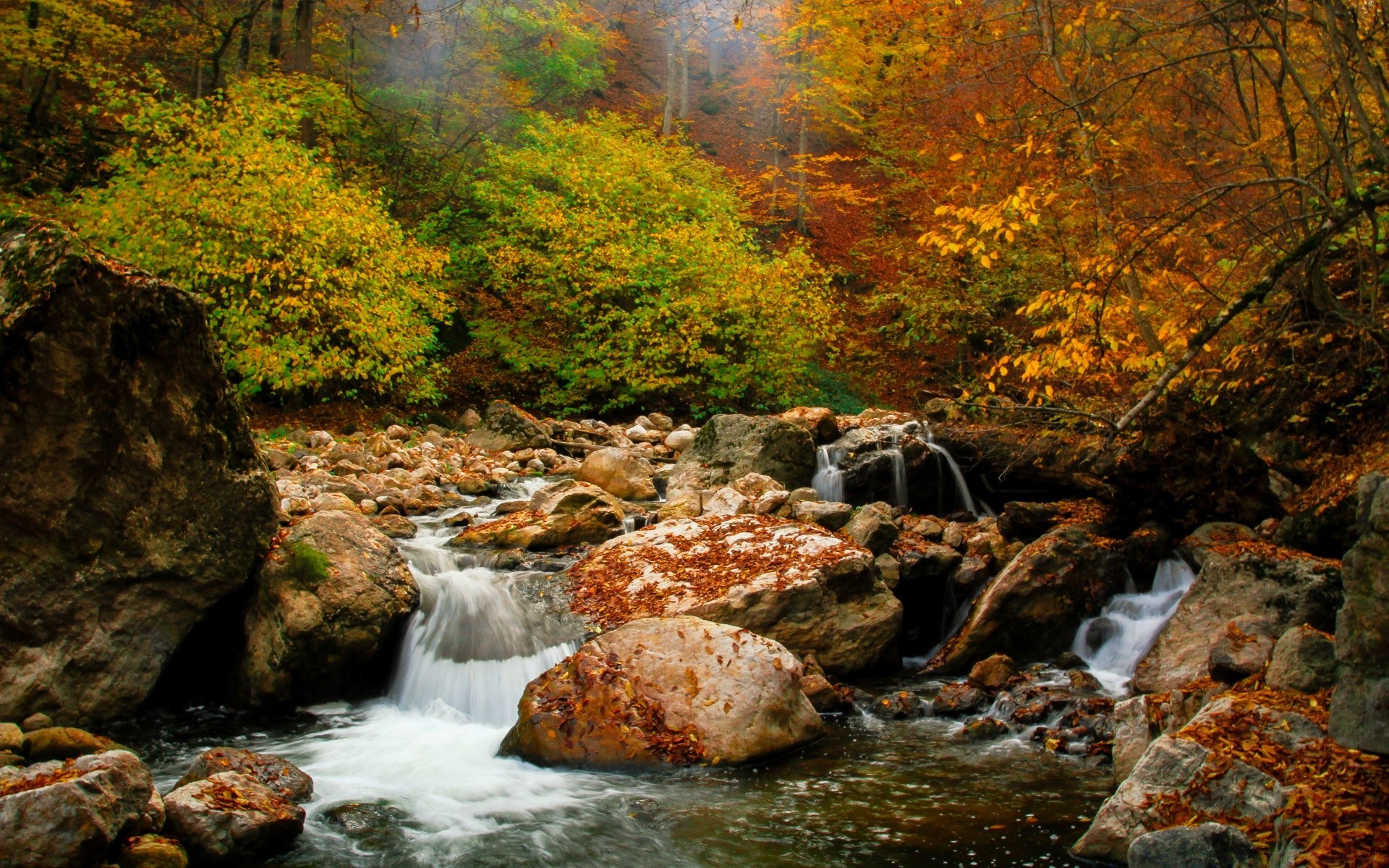 autumn fall water waterfall leaf stream river wood nature outdoors rock rapids creek travel tree cascade landscape flow