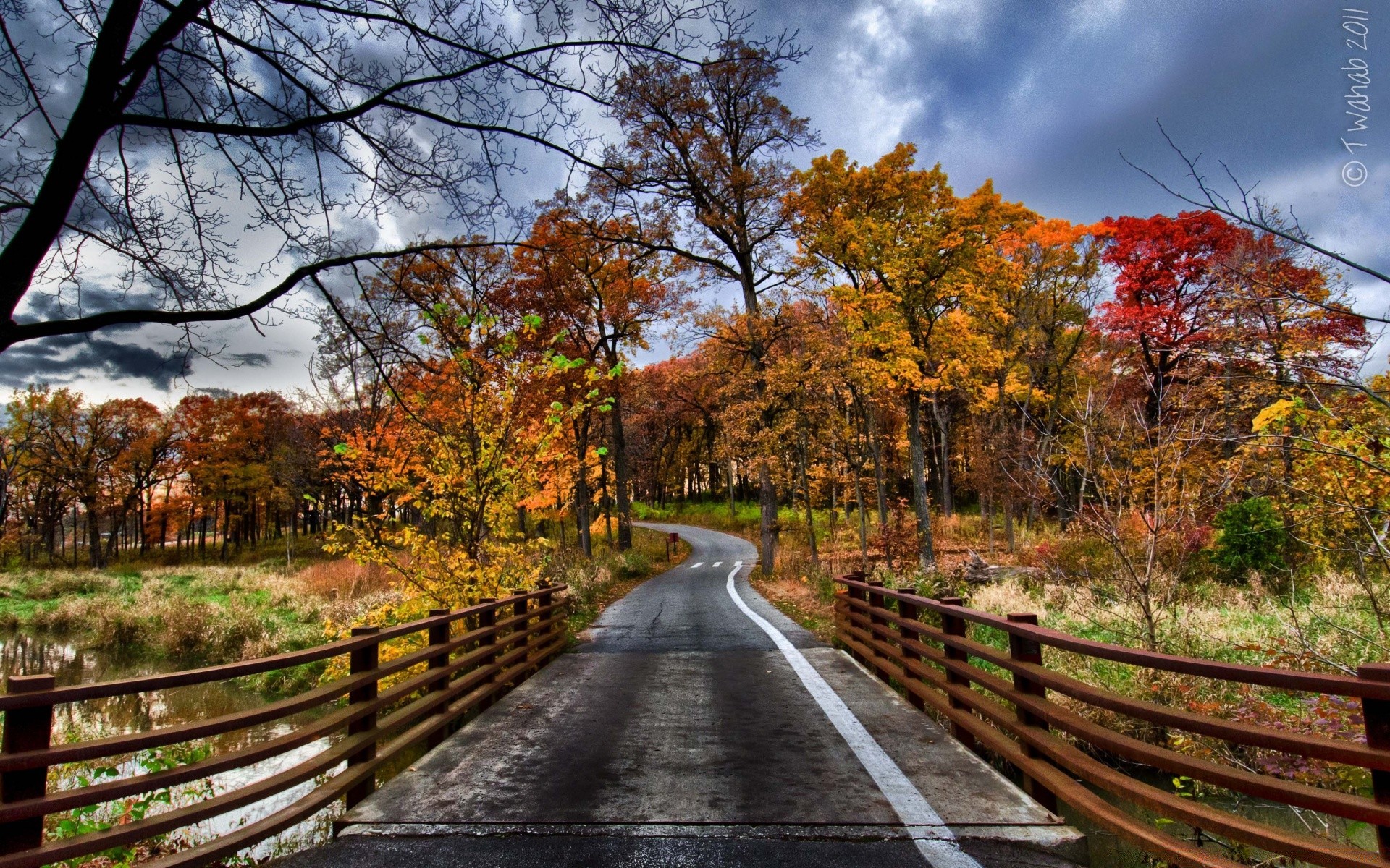 autumn fall wood leaf tree nature landscape season guidance park scenic road fence rural maple footpath outdoors scene countryside scenery country